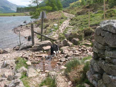 Old stile removed